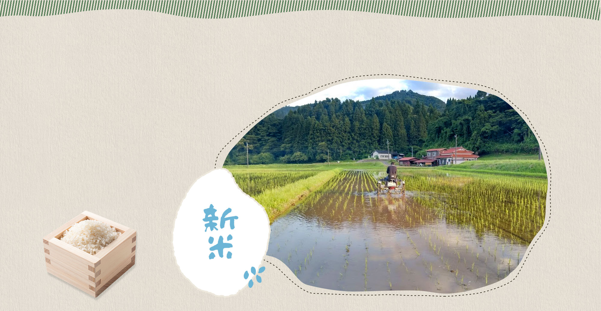 自然豊かな環境で 安心・安全・美味しさを追求したりんご・お米・そばの実を栽培しています