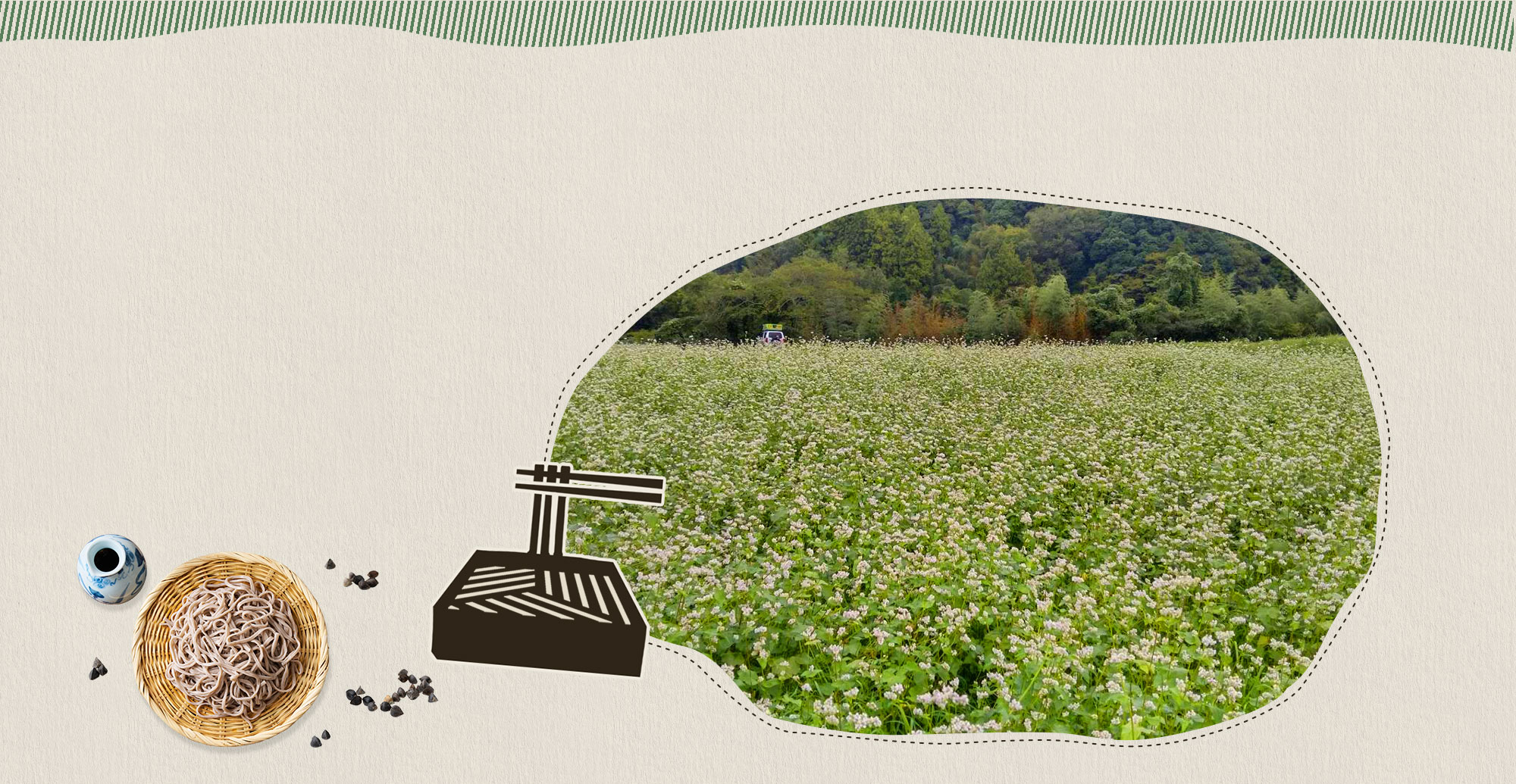 自然豊かな環境で 安心・安全・美味しさを追求したりんご・お米・そばの実を栽培しています