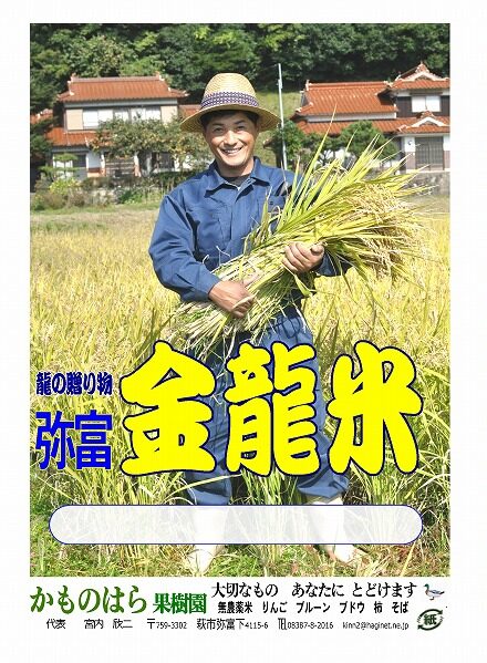金龍米ラベル