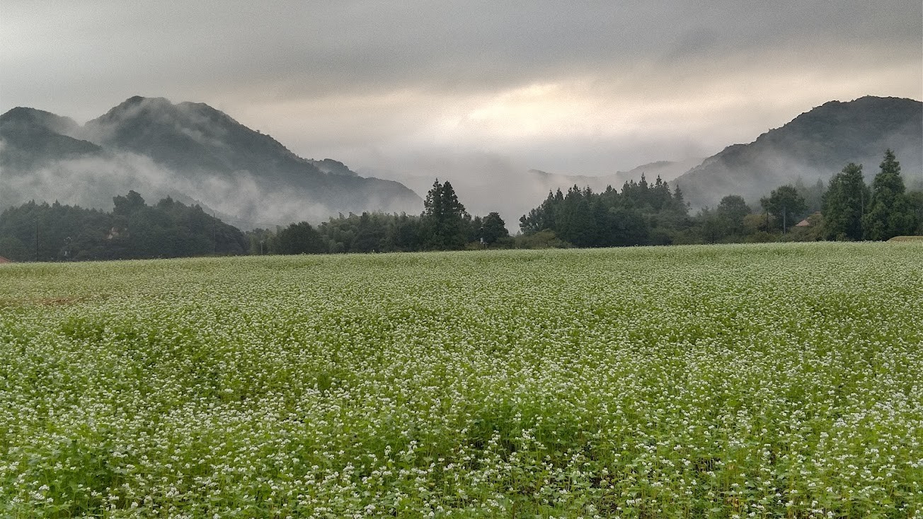 messageImage_1665442119564