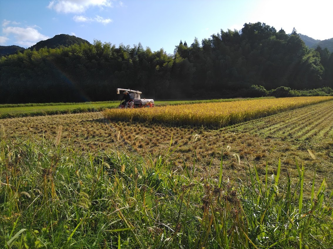 messageImage_1665442256544