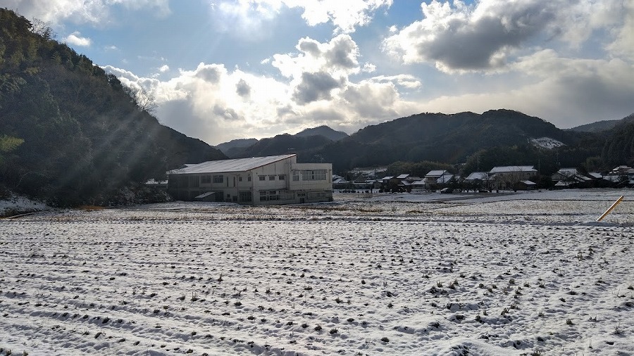 messageImage_1665442589065