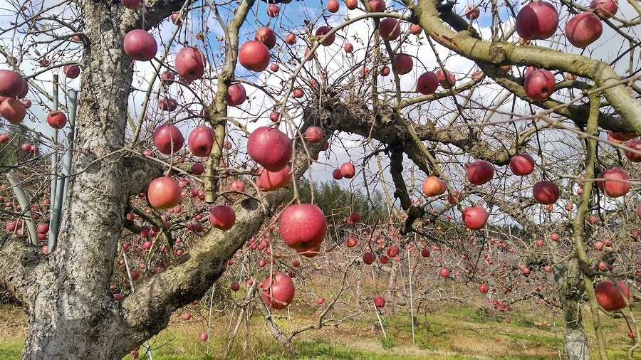 messageImage_1665443885752