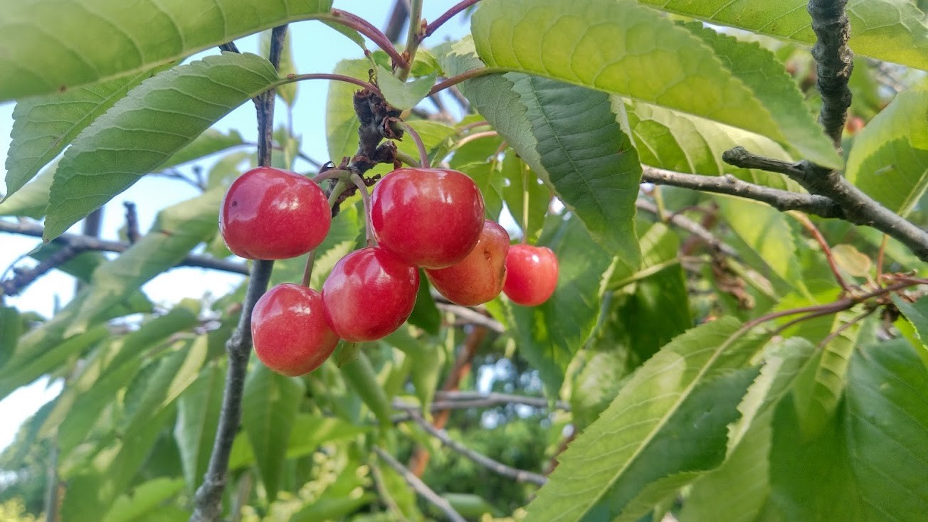 messageImage_1665444214170