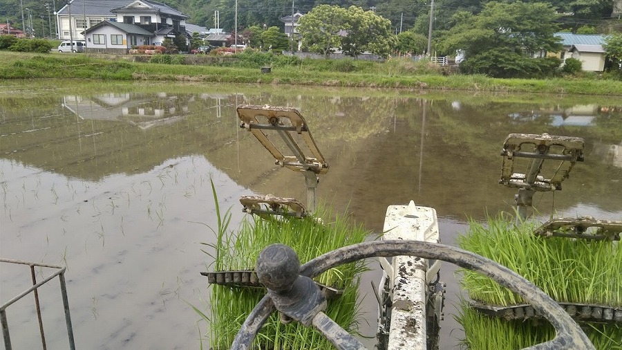 messageImage_1665444274450