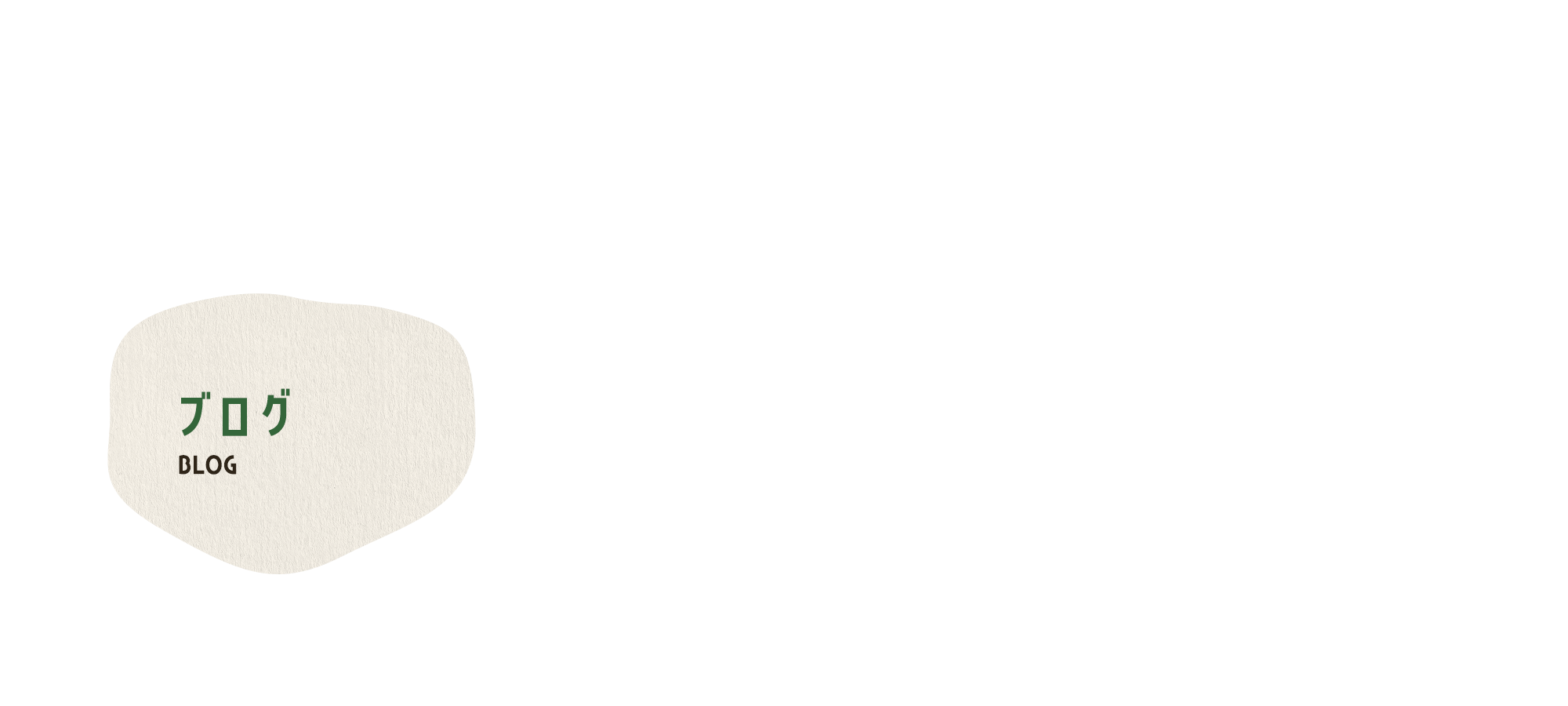 オフィシャルブログ