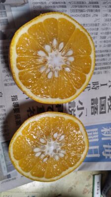 KIMG5340.JPG